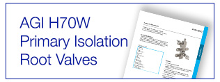 AGI H70W Primary Isolation Root Valves